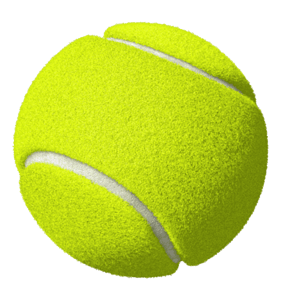 Ende Padel Buah